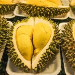 Jenis - Jenis Durian