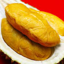 tekstur durian musangking