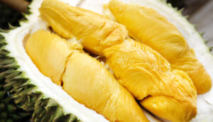 durian musangking